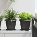 Plantepotter 24 pcs Svart Ø 22 x 18 cm Plast