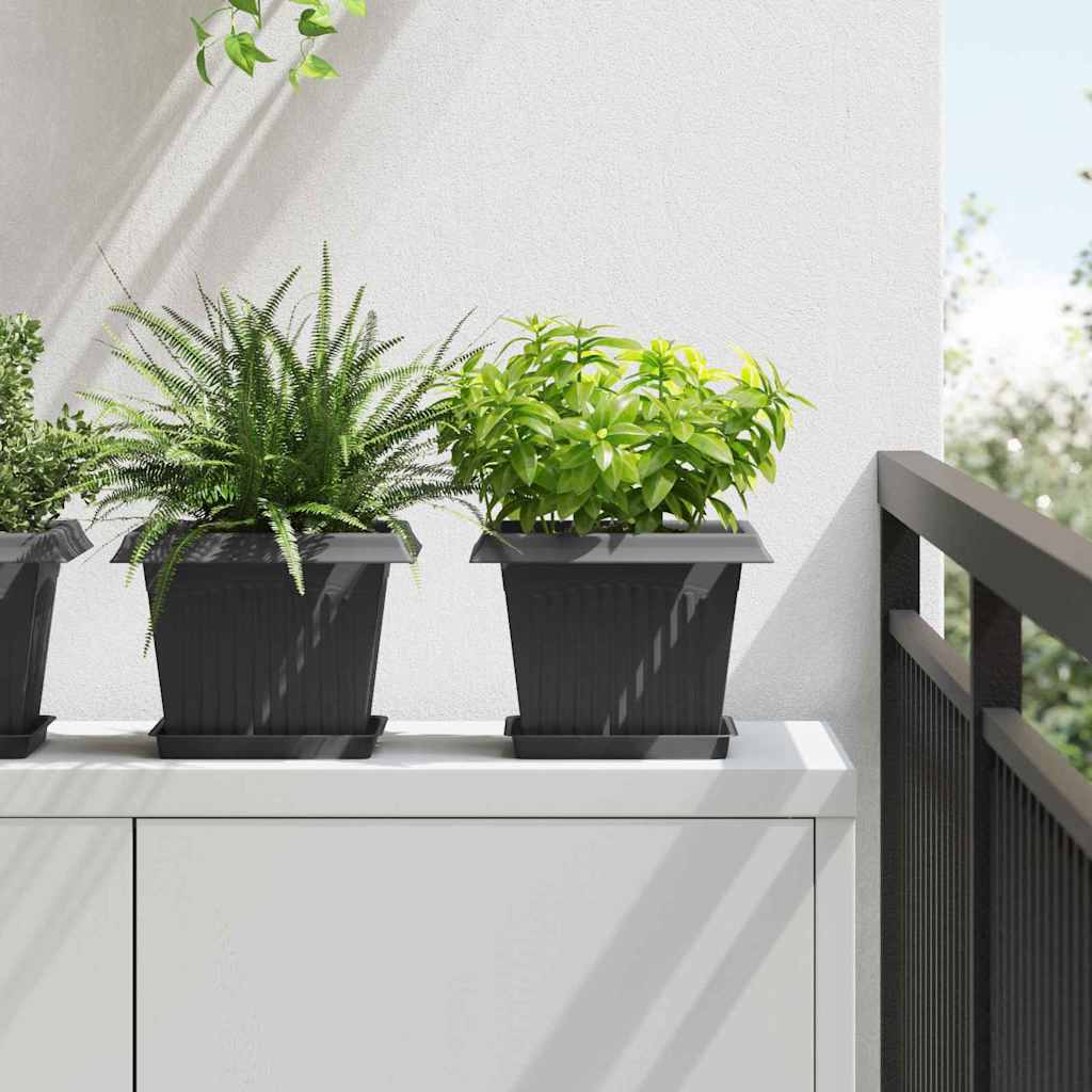 Plantepotter 6 pcs Svart 23 x 23 x 17,5 cm Plast