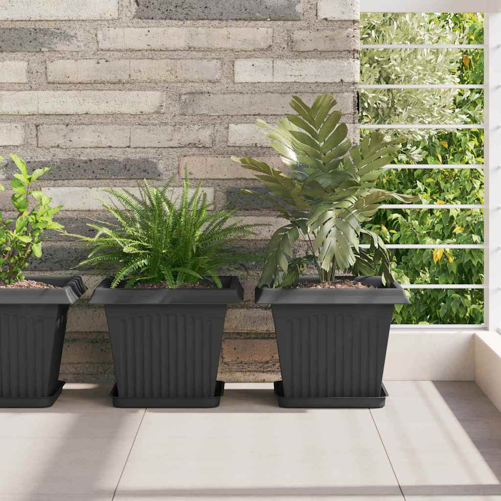 Plantepotter 6 pcs Svart 28,5 x 28,5 x 22 cm Plast