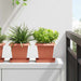 Plantepotter 24 pcs Klinker Rød 16 x 16 x 14 cm Plast