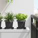 Plantepotter 24 pcs Svart 16 x 16 x 14 cm Plast