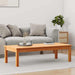 Kaffebord Max Brun 110 x 50 x 30 cm Massiv furu