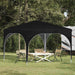 Pop-up Festtelt 290 x 290 x 245 cm Svart