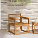 Armlener 2 pcs Brun 59 x 6 x 61 cm Konstruert tre