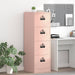 Arkivskap med lås 2 pcs Rosa 44 x 50 x 139 cm Kaldvalsget Stål