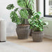 Plantekurv med lagring 2 pcs Grå Lacak Rattan