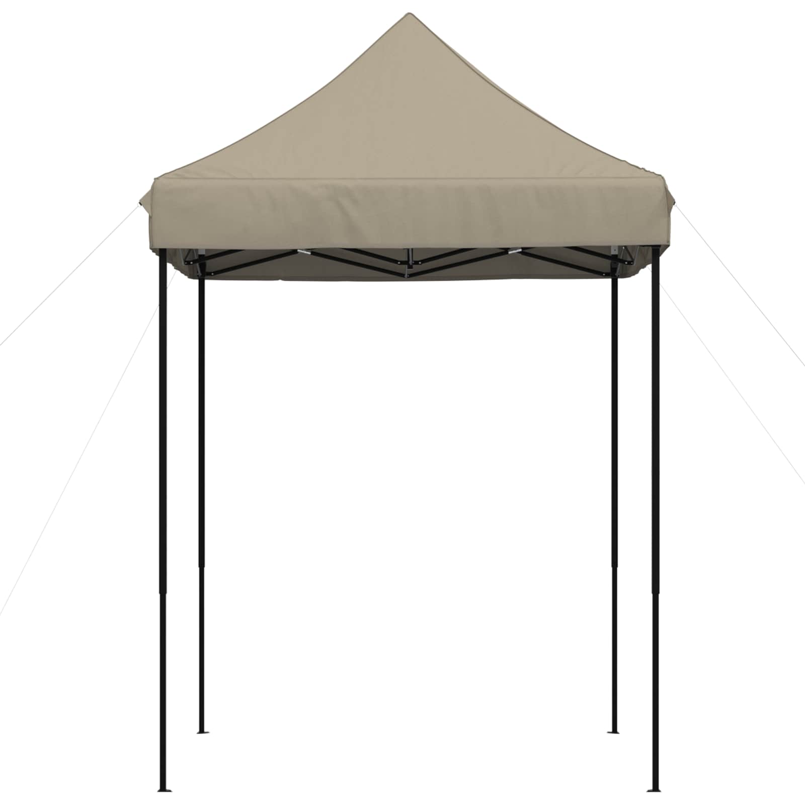 Partytelt Gråbrun 200 x 200 x 306 cm Oxford Stoff vidaXL