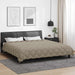 Vinter Dynen 220 x 260 cm 450 gsm Mikrofiber (100% Polyester)