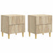 Nattbord 2 pcs Sonoma eik 43 x 34,5 x 48 cm Konstruert tre