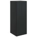 Vegghengt skap Svart 33 x 34,5 x 90 cm Konstruert tre