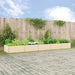 Plantekassed Elfenben 480 x 100 x 45 cm Galvanisert Stål