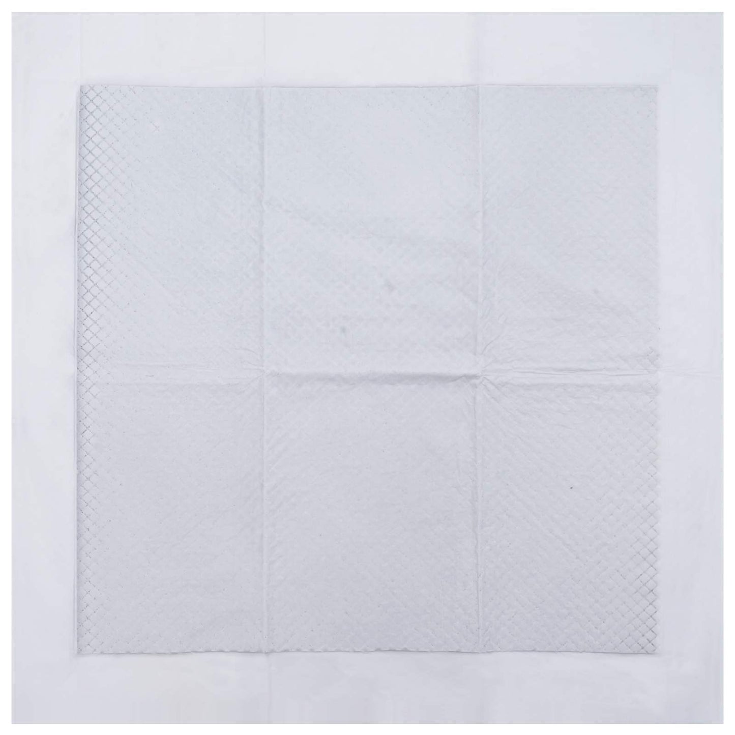 Ikke-vevd stoff kjæledyr treningspute 200 pcs 60 x 60 cm