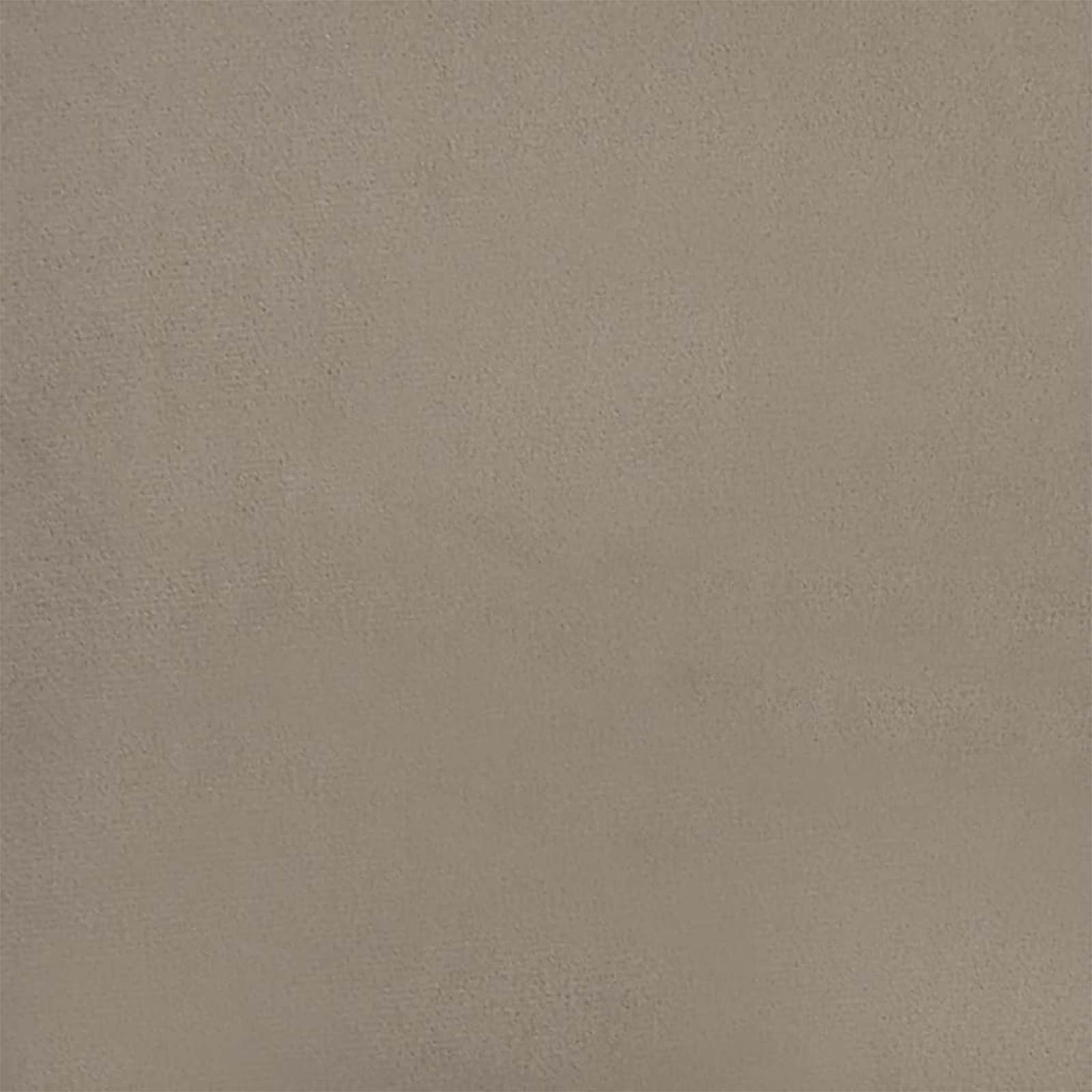 Spisestuestol 2 pcs Lysegrå 55 x 59,5 x 77 cm Fløyel vidaXL