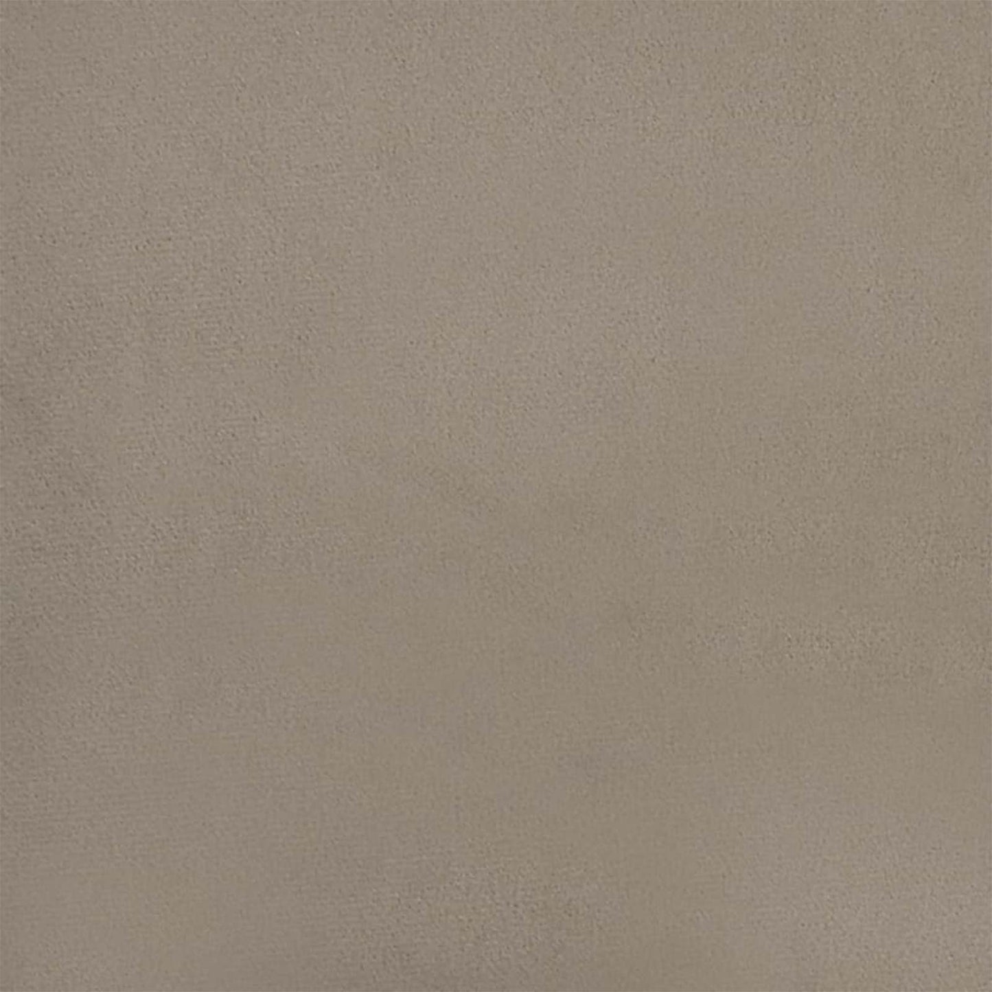 Spisestuestol med hjul 2 pcs Lysegrå 55 x 59,5 x 77 cm Fløyel vidaXL