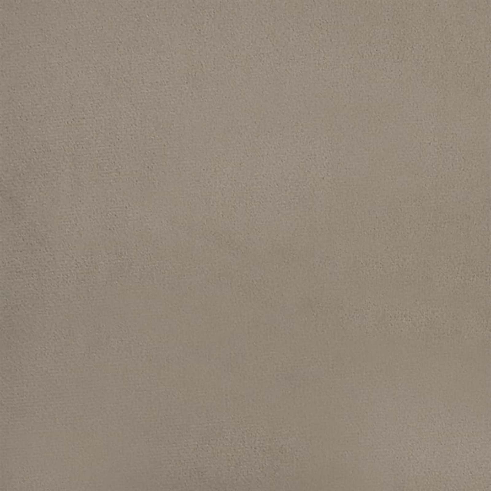 Spisestuestol med hjul 2 pcs Lysegrå 55 x 59,5 x 77 cm Fløyel vidaXL