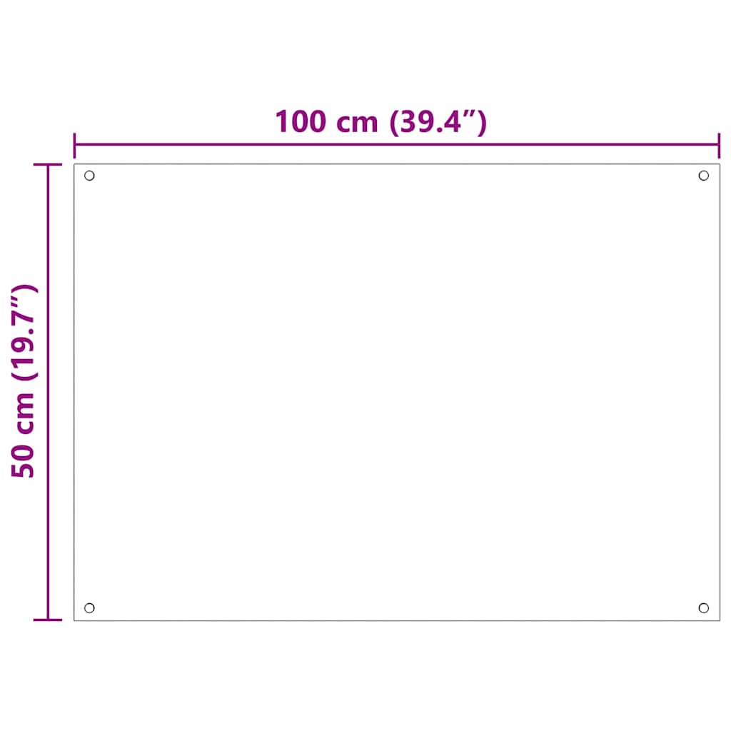 Kjøkkenbenkplate 2 pcs Gjennomsiktig 100 x 50 cm herdet glass