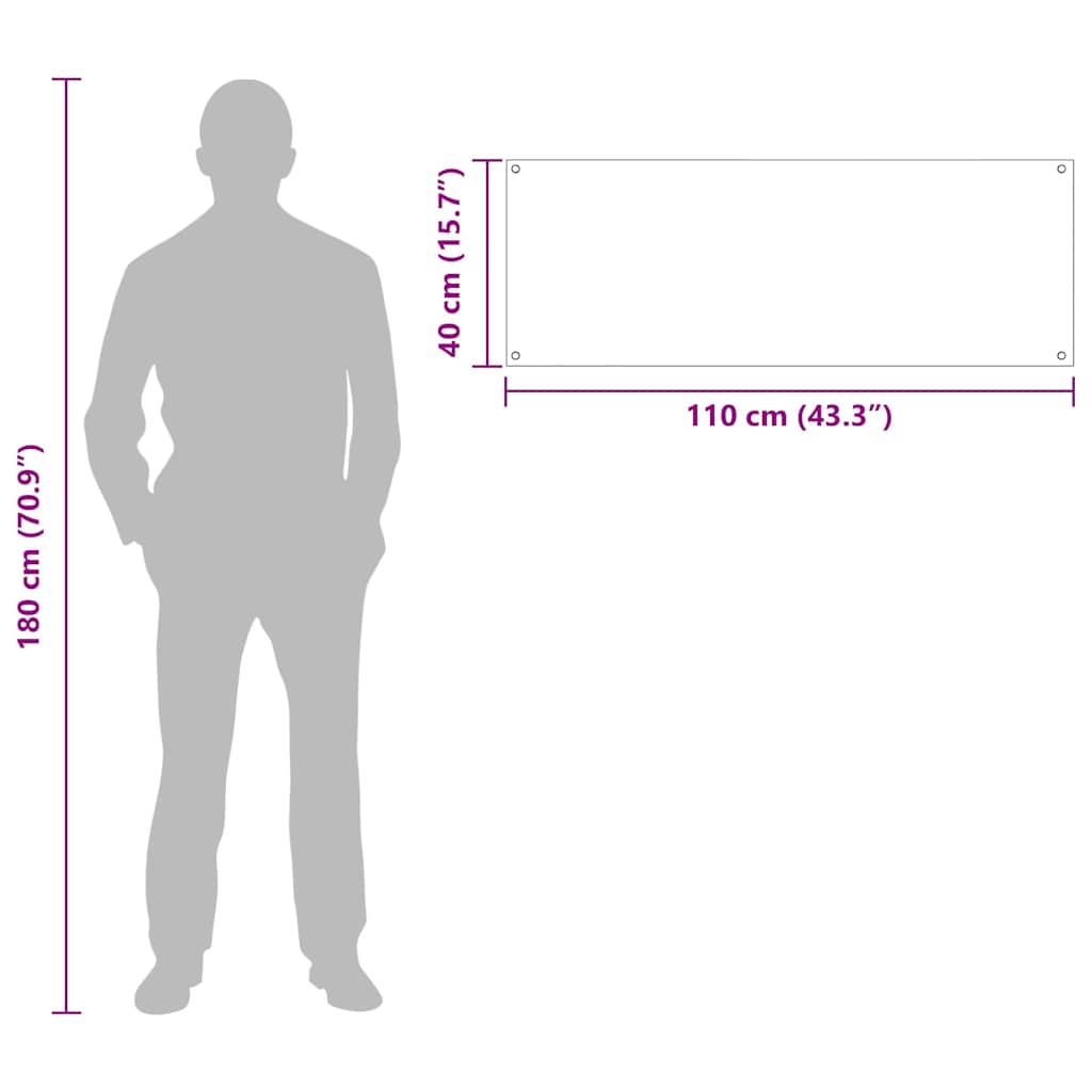 Kjøkkenbakplate 2 pcs Gjennomsiktig 110 x 40 cm herdet glass vidaXL