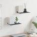 Vegghylle med hylle 2 pcs Antrasitt 30 x 18 x 2,5 cm vidaXL