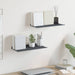 Vegghylle med hylle 2 pcs Antrasitt 40 x 18 x 2,5 cm vidaXL