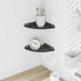 Flytende hylle med hylle med lagring 2 pcs Svart 18 x 18 x 2 cm