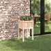 Hageblomsterpotte Natur 40 x 40 x 70 cm Massiv furu