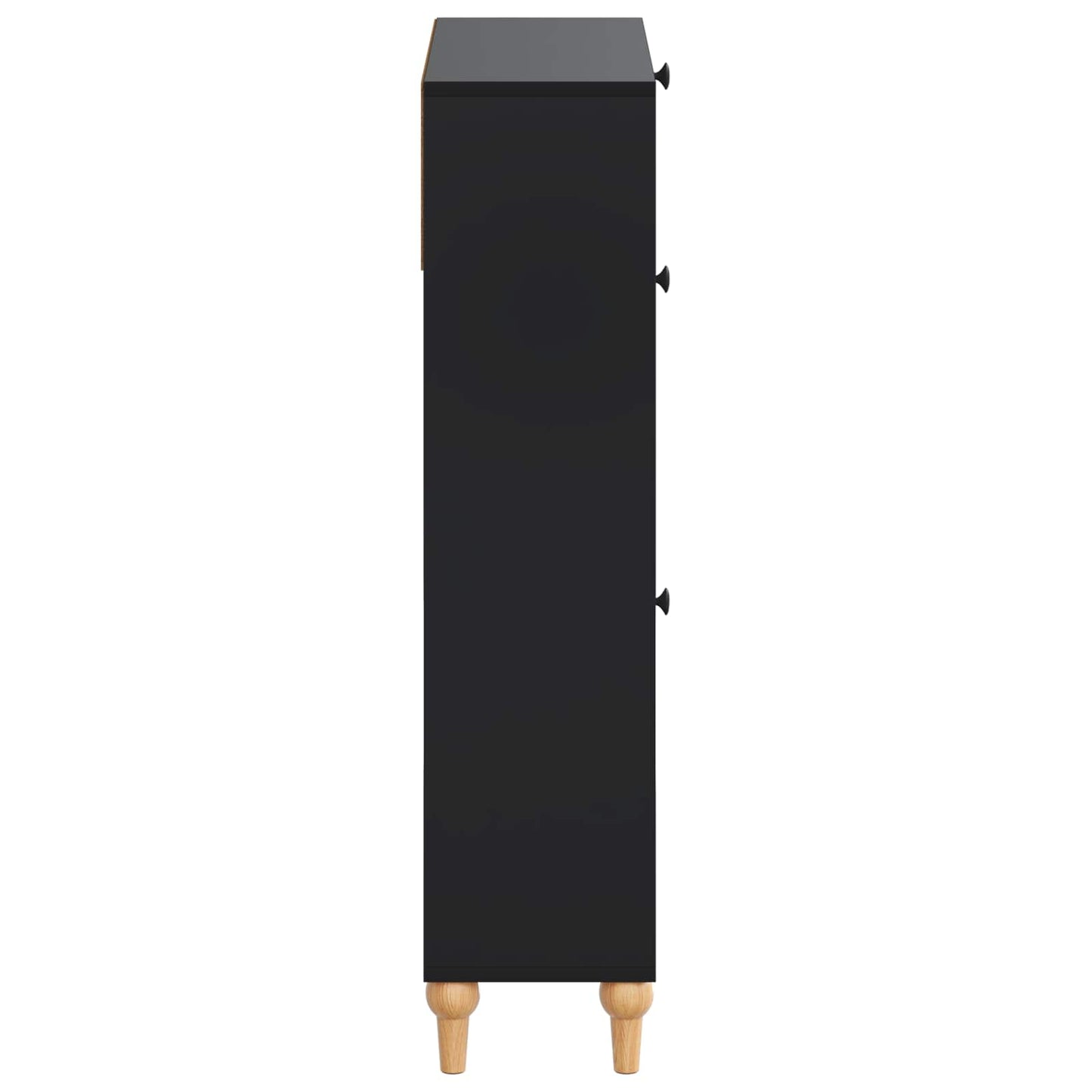 Sko Skap ALKMAAR 78 x 24 x 103 cm Konstruert tre Svart