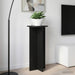 Planteholder 2 pcs Svart 40 x 40 x 80 cm Konstruert tre