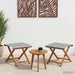 Hage Stol 2 pcs Solid Eucalyptus Tre Flerfarget
