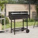 Kullgrill 96,5 x 42,5 x 88,5 cm Svart