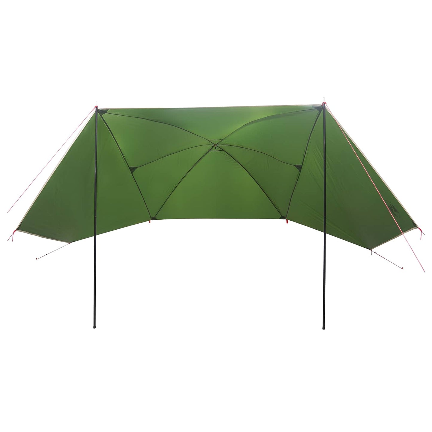 Bil telt med tak Grønn 308 x 215 x 220 cm Polyester og stål