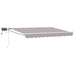 Manuell utvidbar markise med LED-lamper 3 x 2,5 m