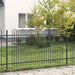 Spikertrekk Bueseger Svart 200 x 150 cm Pulverlakkert stål vidaXL