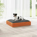 Hundeseng Vokset Brun 51,5 x 44 x 9 cm Massiv furu