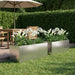 Hageblomsterpotte 2 stk. Sølv 40 x 20 x 20 cm Rustfritt stål