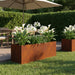 Hageblomsterpotte Rusten 60 x 20 x 20 cm Cortenstål