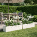 Hageblomsterpotte 2 stk. Hvit 80 x 20 x 20 cm Kaldvalsestål
