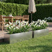 Hageblomsterpotte 2 stk. Sølv 100 x 20 x 20 cm Rustfritt stål
