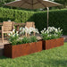 Hageblomsterpotte 2 stk. Rusten 100 x 20 x 20 cm Cortenstål
