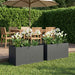 Hageblomsterpotte 2 stk. Antrasitt 80 x 50 x 50 cm