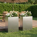 Hageblomsterpotte 2 stk. Sølv 40 x 20 x 50 cm Rustfritt stål