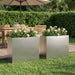 Hageblomsterpotte 2 stk. Sølv 50 x 20 x 40 cm Rustfritt stål
