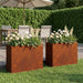 Hageblomsterpotte 2 stk. Rusten 50 x 20 x 40 cm Cortenstål
