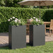 Hageblomsterpotte 2 stk. Antrasitt 50 x 20 x 75 cm