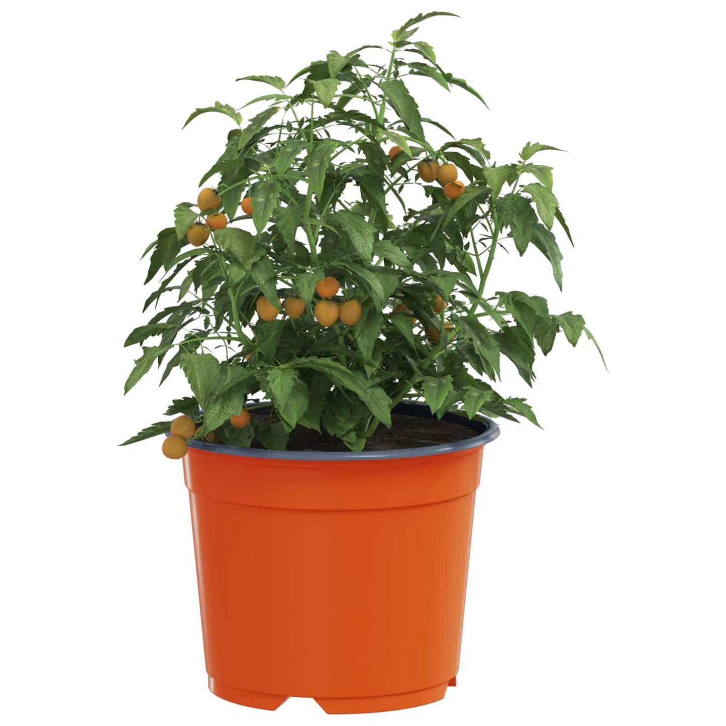Rund Blomsterpotte 50 pcs Terrakotta Ø 10 x 8 cm Plast