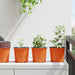 Blomsterpotte 100 pcs Terrakotta Ø 15 x 13 cm Plast