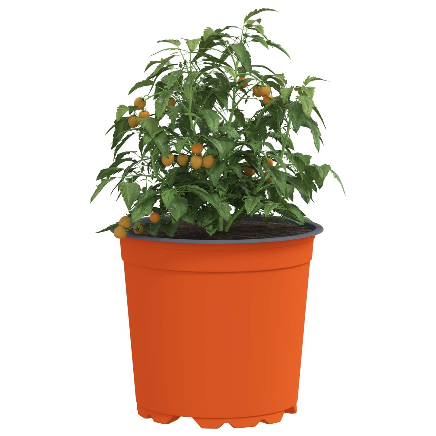 Blomsterpotte 100 pcs Terrakotta Ø 15 x 13 cm Plast
