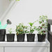 Rund Blomsterpotte 200 pcs Svart Ø 10 x 8 cm Plast