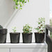 Blomsterpotte 100 pcs Svart Ø 15 x 13 cm Plast