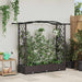 Hevet Bed med Trellis og Tak Brun 169 x 40 x 125 cm PP