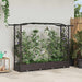 Hevet Bed med Trellis og Tak Brun 207 x 40 x 126 cm PP